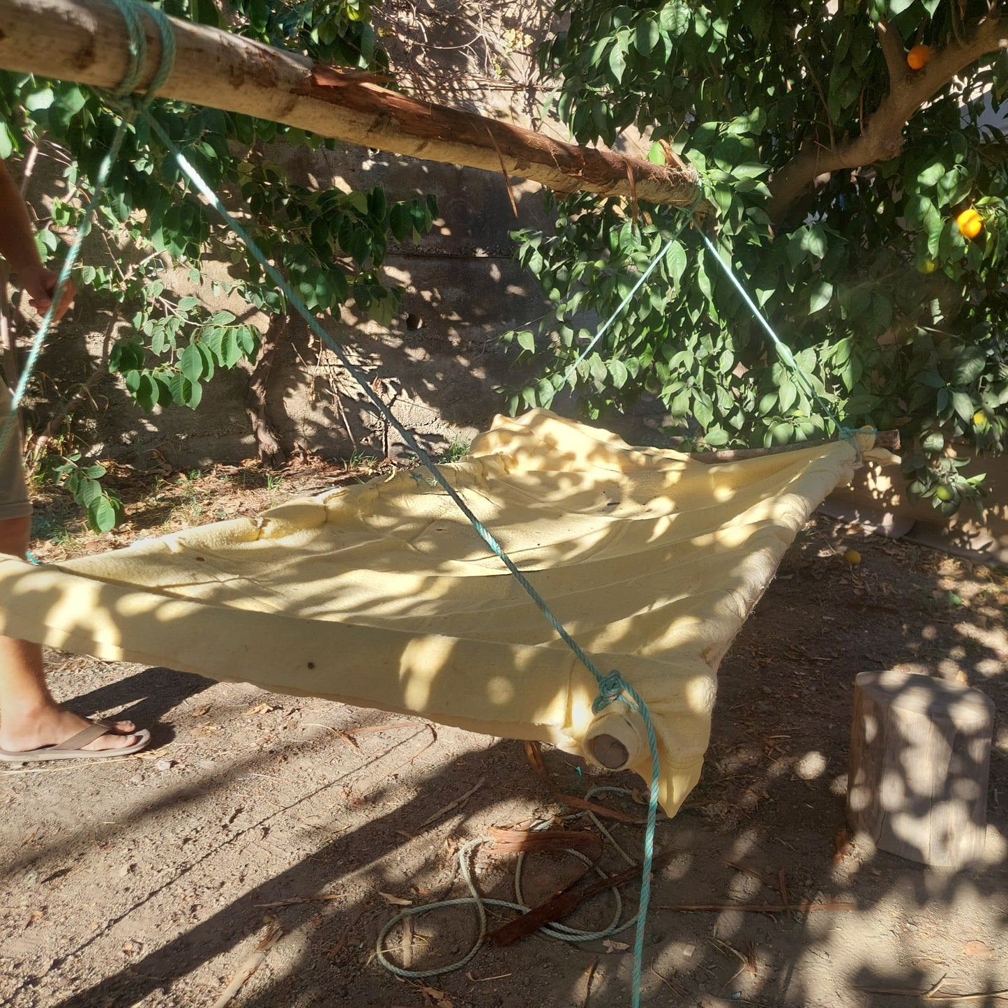 Intro to Bushcraft & Survival