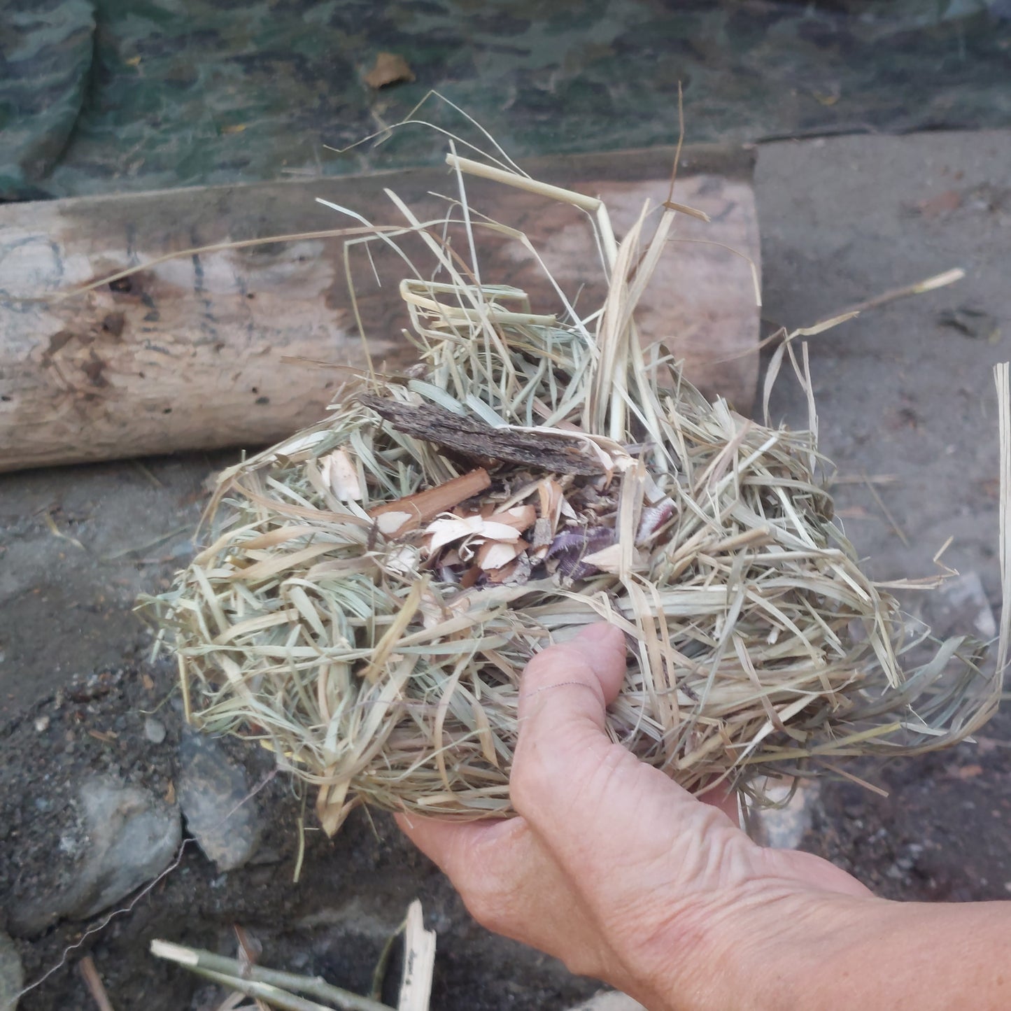 4-Hour Bushcraft & Survival challenge