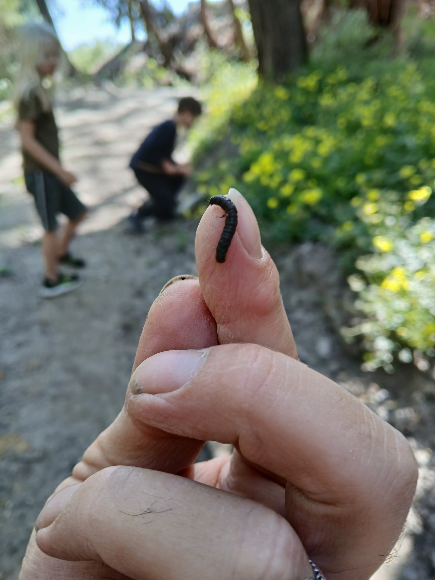 Foraging Bushcraft & Survival Workshop