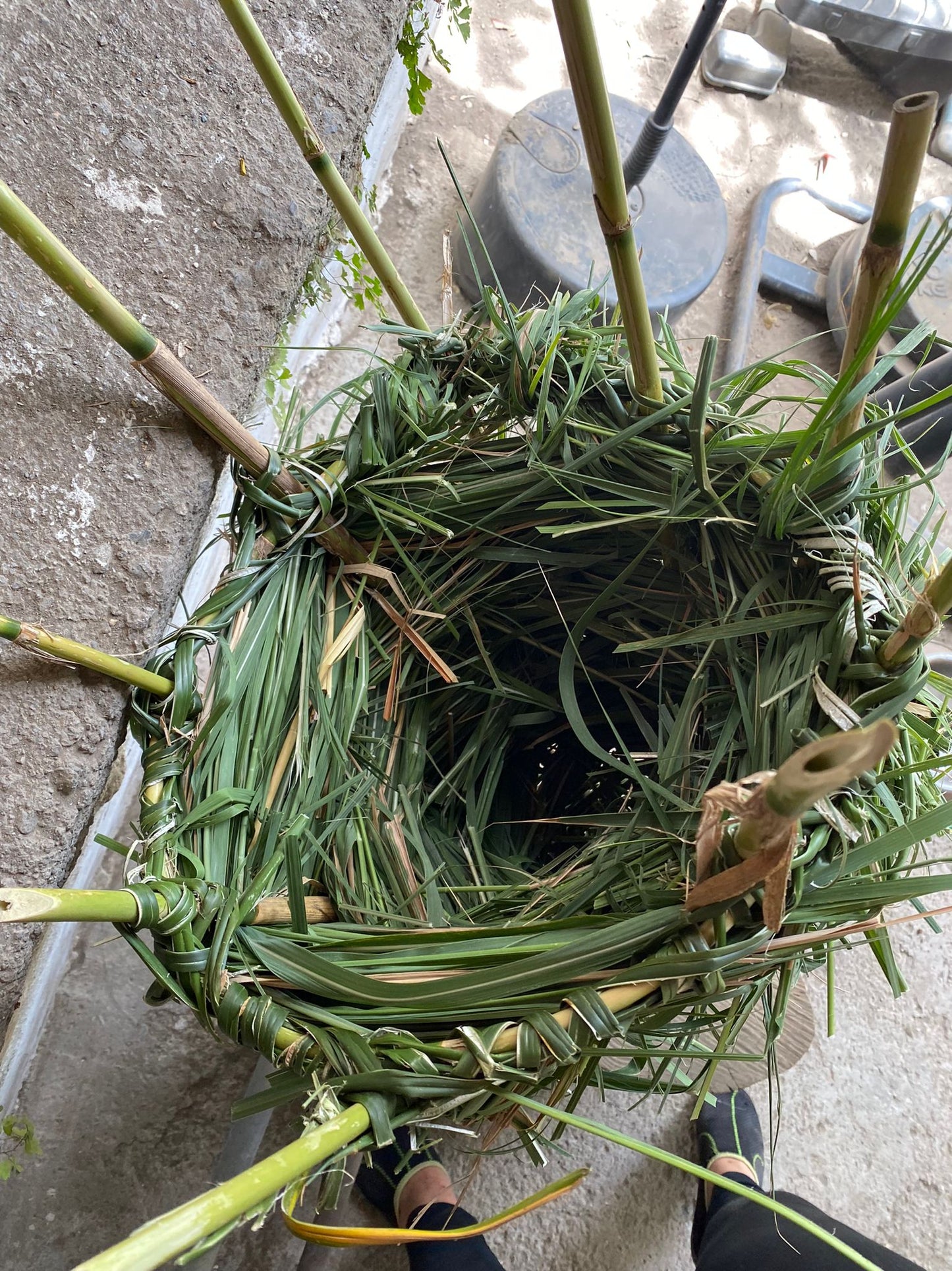 Primitive Bushcraft & Survival skills Workshop