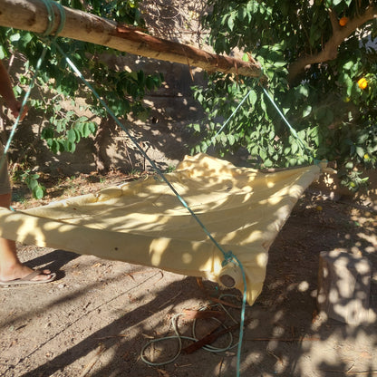 Intro to Bushcraft & Survival