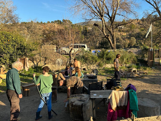 3 to 8H Bushcraft & Survival Workshops
